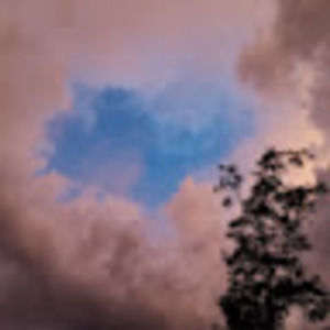 Meet your Posher, Tasha